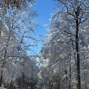 Meet your Posher, Laila